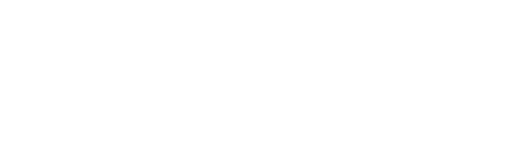 white logo ferodigital